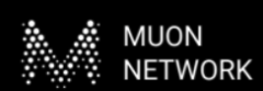 Muon Network